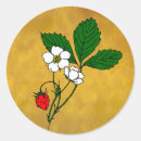 Search for wild strawberry stickers Strawberries