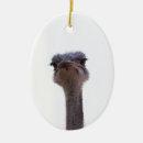 Search for ostrich christmas tree decorations Cute