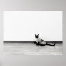 Search for siamese cat art Portrait