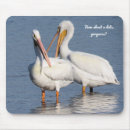 Search for two birds electronics White