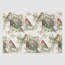 Search for birdwatcher gift wrap Nature
