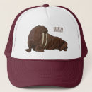 Search for walrus accessories Mammal