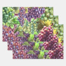 Search for grapevine gift wrap Fruit