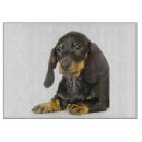 Search for dachshund chopping boards Wiener