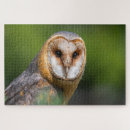 Search for barn owl puzzles Predator