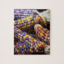 Search for corn puzzles Fall