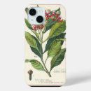 Search for spices iphone cases Food