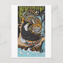 Search for tigers in postcards Predator