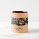Search for big five mugs Buffalo