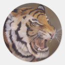 Search for tiger stripes stickers Big cats