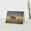 Search for folding reserved cards African elephant