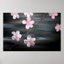 Search for cherry fine Floral