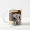 Search for young bird mugs Wildlife