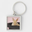 Search for easter rabbit square key rings Animal