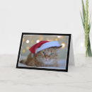 Search for cats wearing hats christmas cards Funny