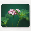 Search for touch mousepads Pink