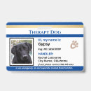 Search for dog Pet