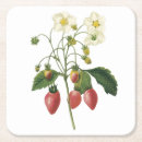 Search for strawberry barware Blossom