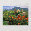 Search for crested butte postcards Mountain