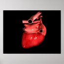 Search for blood vessels posters Healthcare