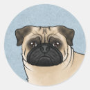Search for pug dog stickers Illustration