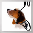 Search for beagle puppy posters Portrait