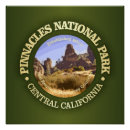 Search for california bear posters Camping