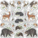 Search for squirrel animal stickers Vintage