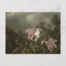 Search for tropical painting postcards Floral