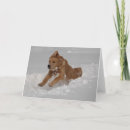 Search for plough cards Snow
