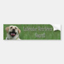 Search for labrador bumper stickers Pup