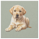 Search for labrador retriever fabric Yellow lab