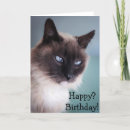 Search for sceptical Cat