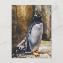 Search for penguin stamp postcards Emperor