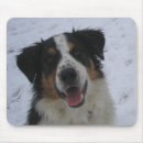 Search for herd dog mousepads Animals