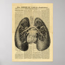 Search for antique human anatomy posters Retro