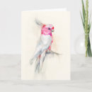 Search for opera cards Tropical