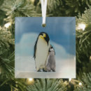 Search for animals of the wild christmas tree decorations Emperor penguin