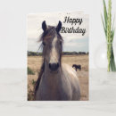 Search for pet note cards Animal