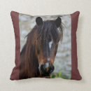 Search for head home living Horse