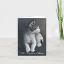 Search for kittens note cards Feline