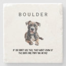 Search for funny coasters Dog