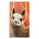Search for alpaca gift bags Llama