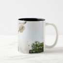 Search for cows in field mugs Rural scene