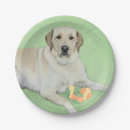 Search for tennis plates White