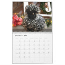 Search for chicken rooster calendars Chicks