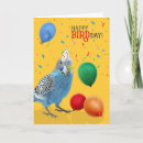 Search for budgie birthday cards Birds