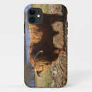 Search for scottish cow iphone cases Bull