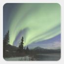 Search for green sky stickers Arctic