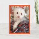 Search for wrapping cards Dog